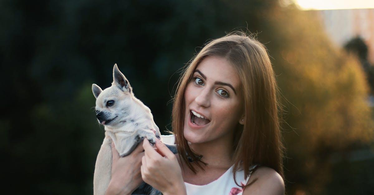 Hundfotografering: Fånga de Perfekta Ögonblicken med Din Bästa Vän